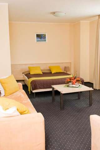 Отель Hotel Pacific Тимишоара Двухместный номер с 1 кроватью или 2 отдельными кроватями-1