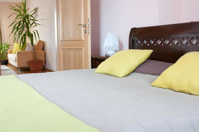 Отель Hotel Pacific Тимишоара-23