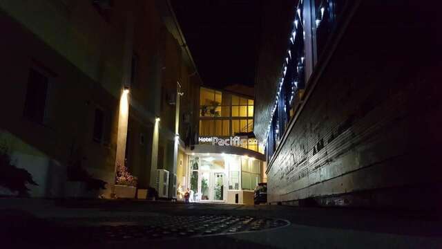 Отель Hotel Pacific Тимишоара-45